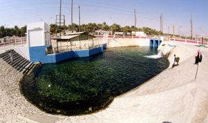 6 - حسن البقشي