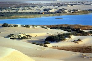 4 - حسن البقشي